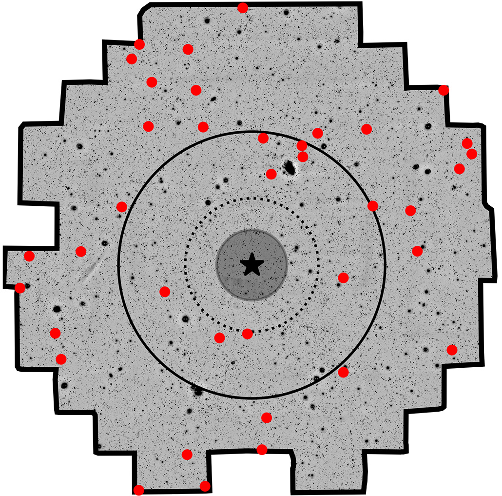 An illustration of a gray square-like shape with red and black dots throughout and a bullseye shape in the middle